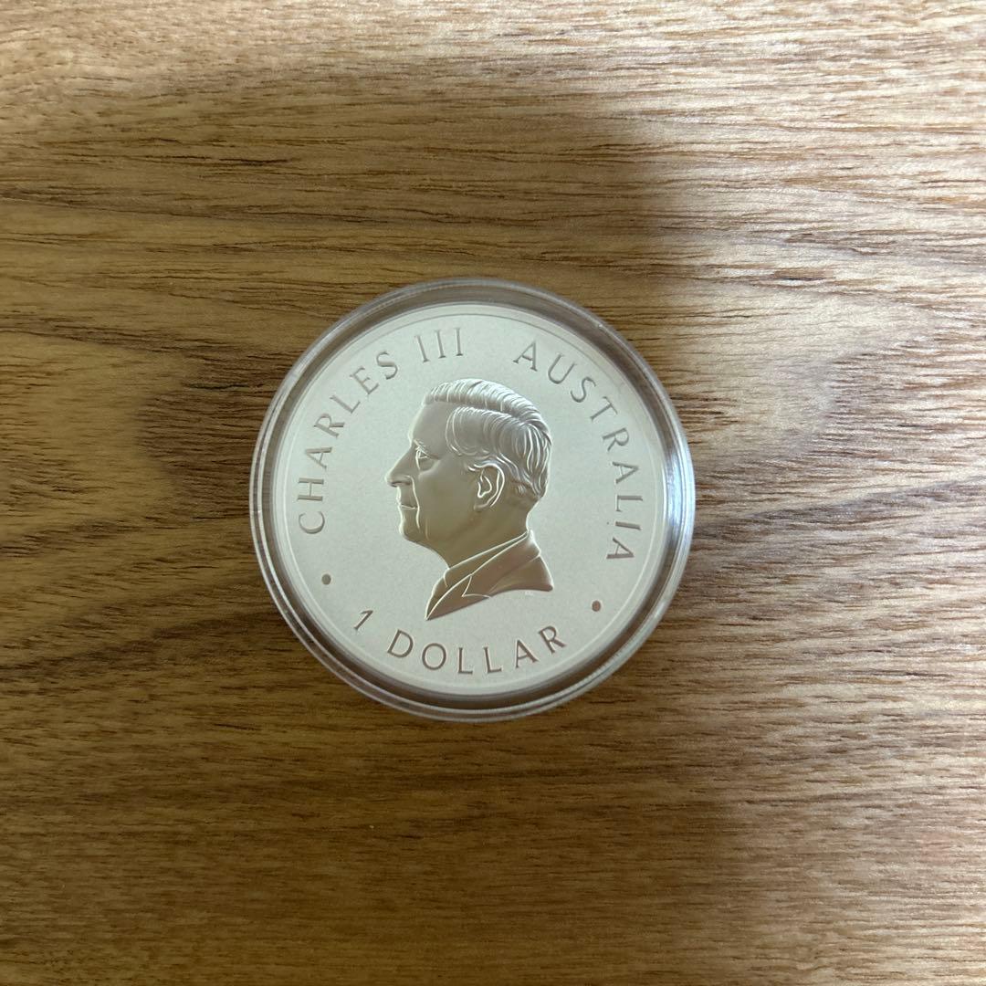 銀　2024 カワセミ