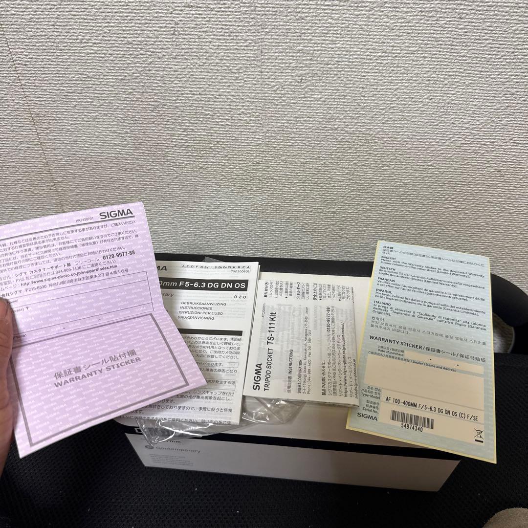 sigma 100-400mm F5-6.3 Eマウント