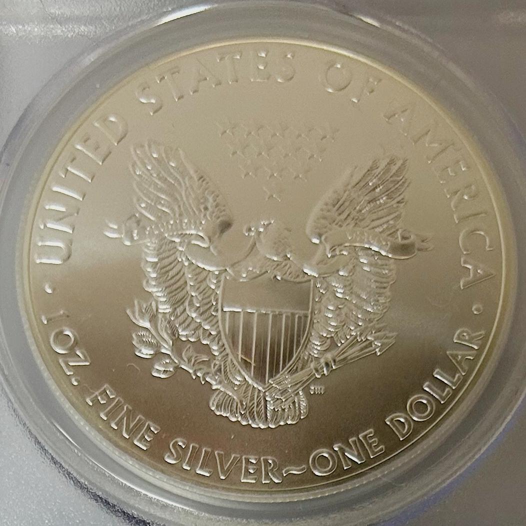 2013年 アメリカンイーグル PCGS MS70 　28258586