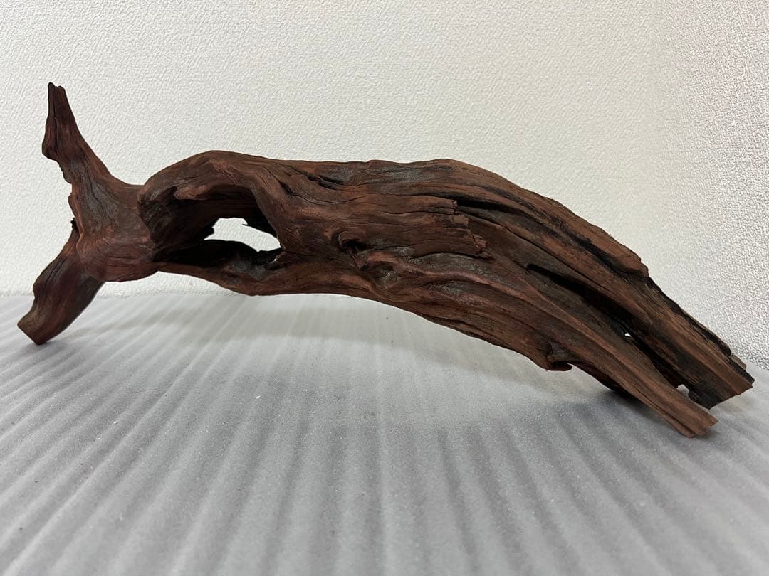 HX-075 流木　ホーンウッド　マシンガンウッド　アクアリウム　ブランチウッド