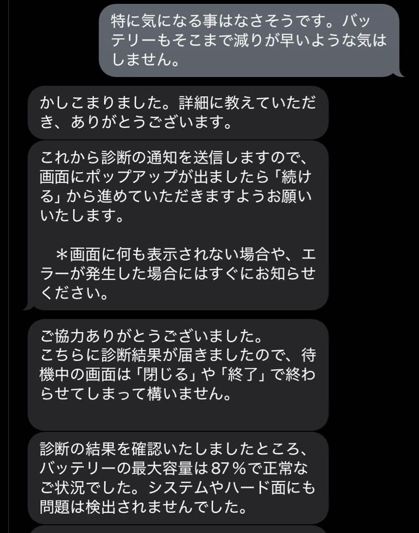 iPad mini 第6世代 Wi-Fi＋セルラーモデル 256 ios18.6