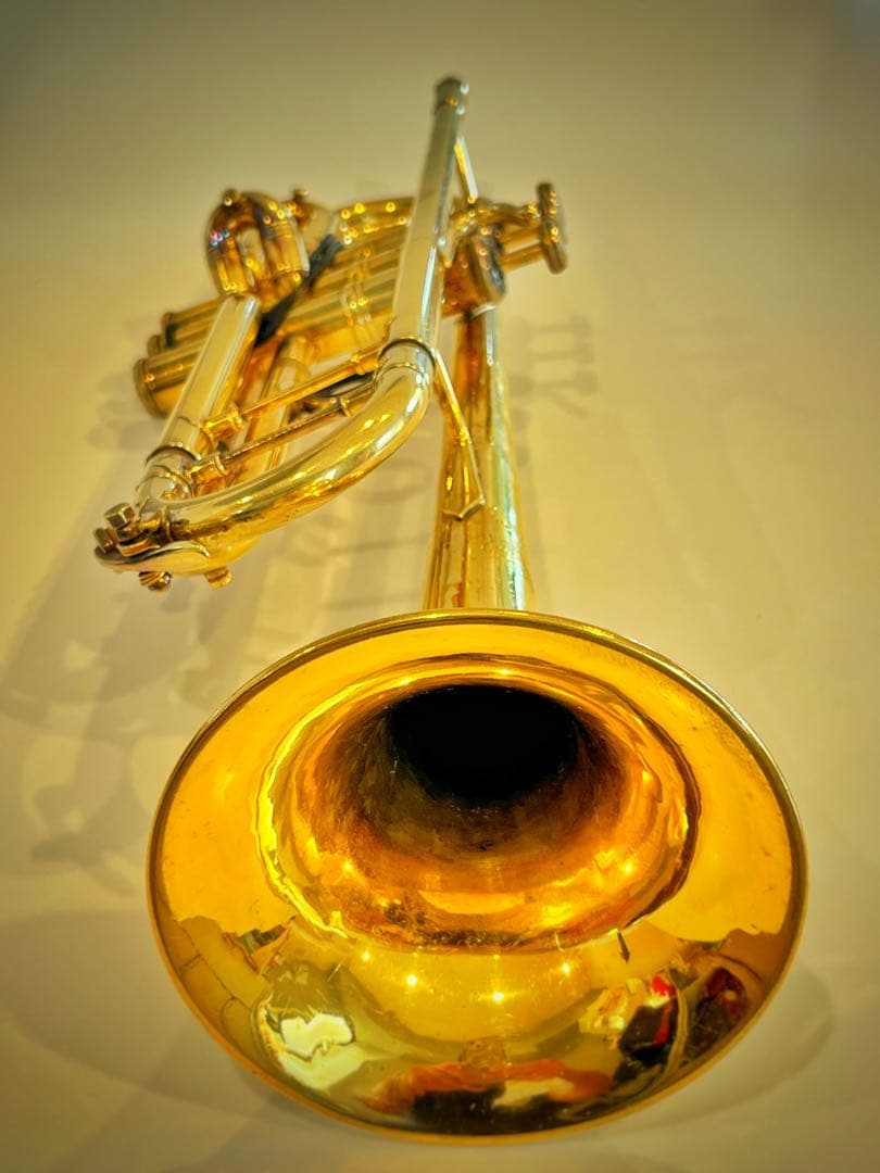 管楽器・吹奏楽器 Bach Stradivarius 180ML GP