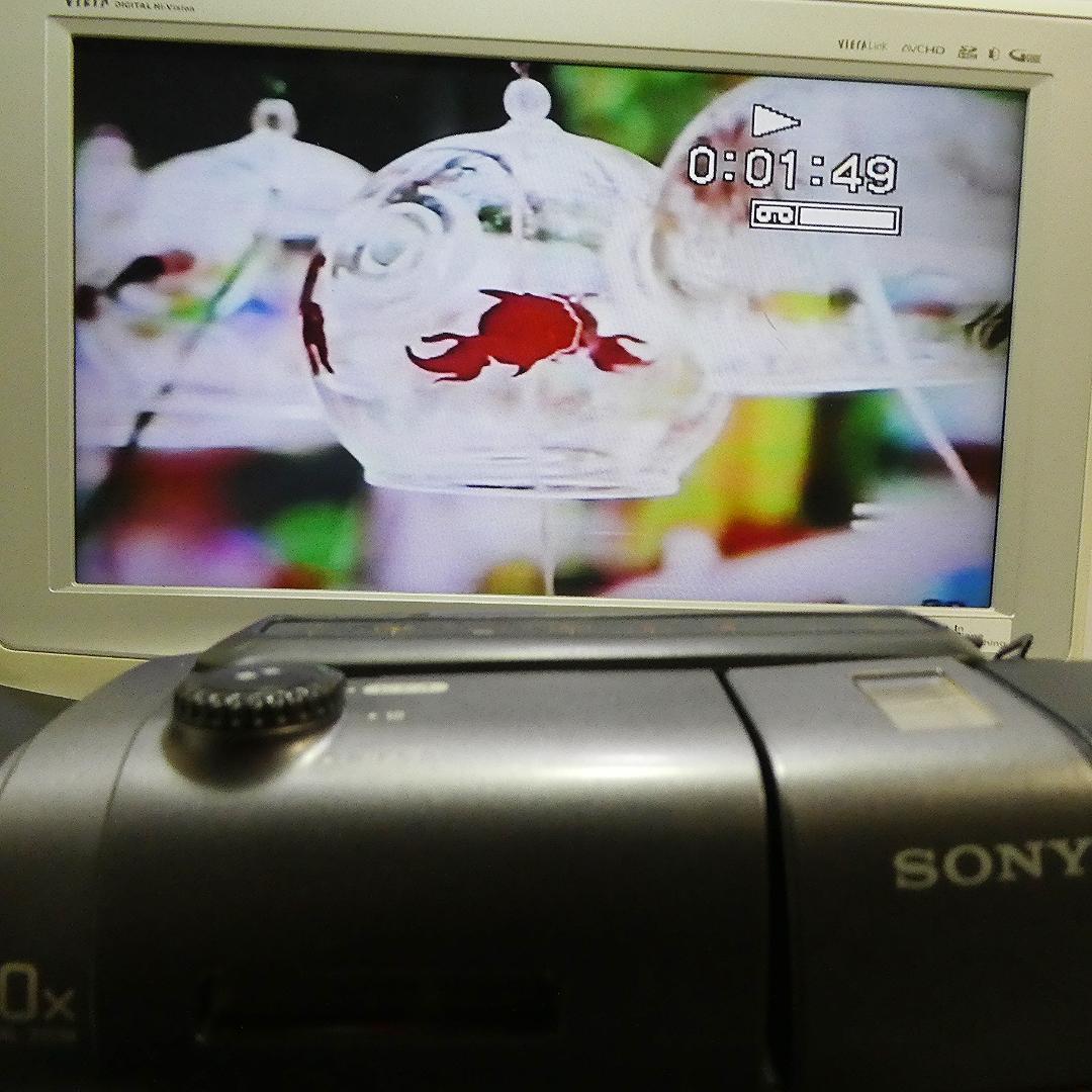 動作良好 VideoHi8 ソニーCCD-TR11 8ミリビデオ　DVD化に最適