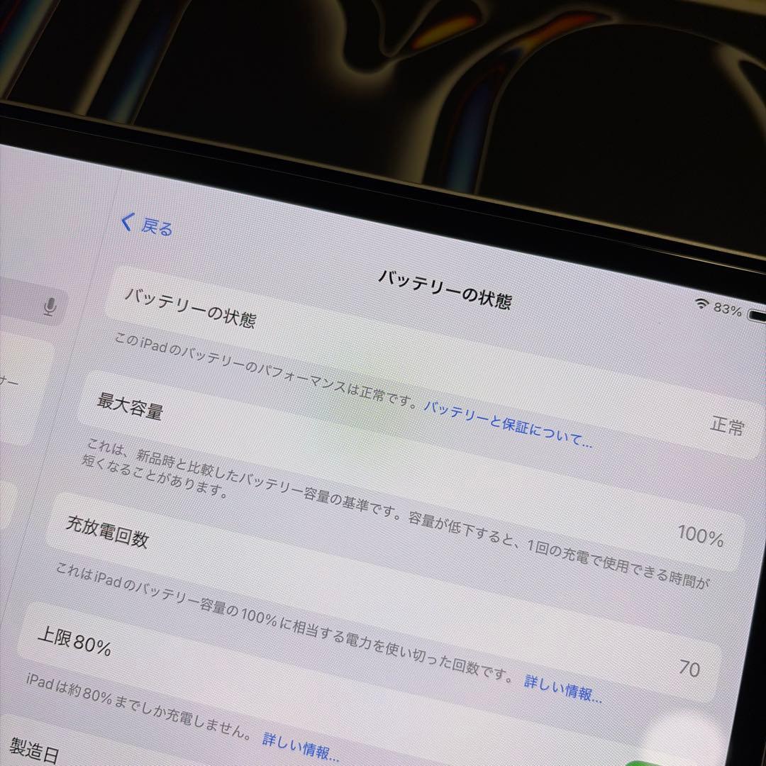 iPad Pro 13インチ(M4) 1TB バッテリー100% ほぼ新品