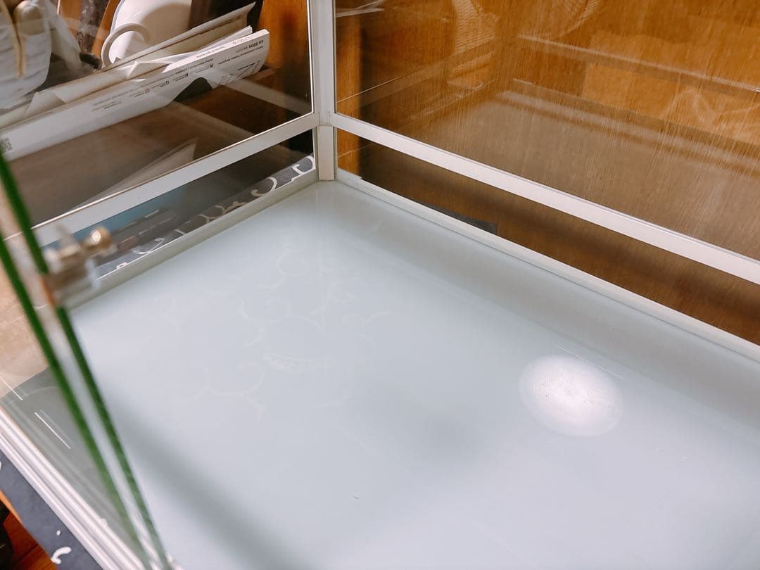 【専用】パンテオン　WH6045：中型 飼育ケージ 鍵付き ガラス