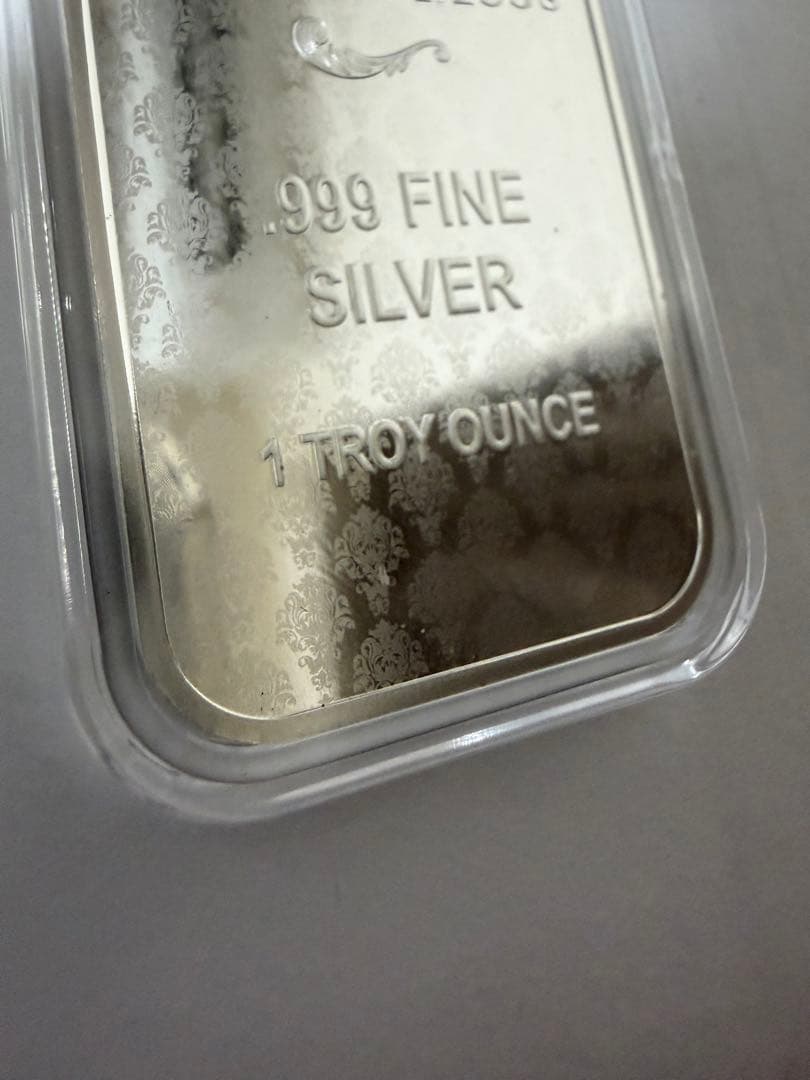 2024年 アメリカ「ウナとライオン」純銀 1オンス バー