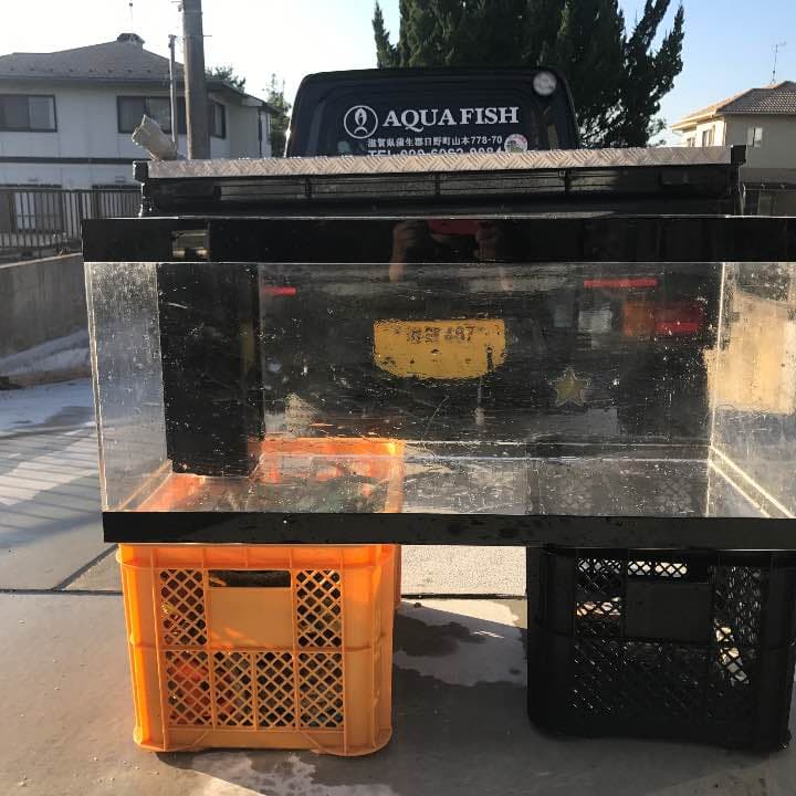 滋賀 AQUAFISH 水槽