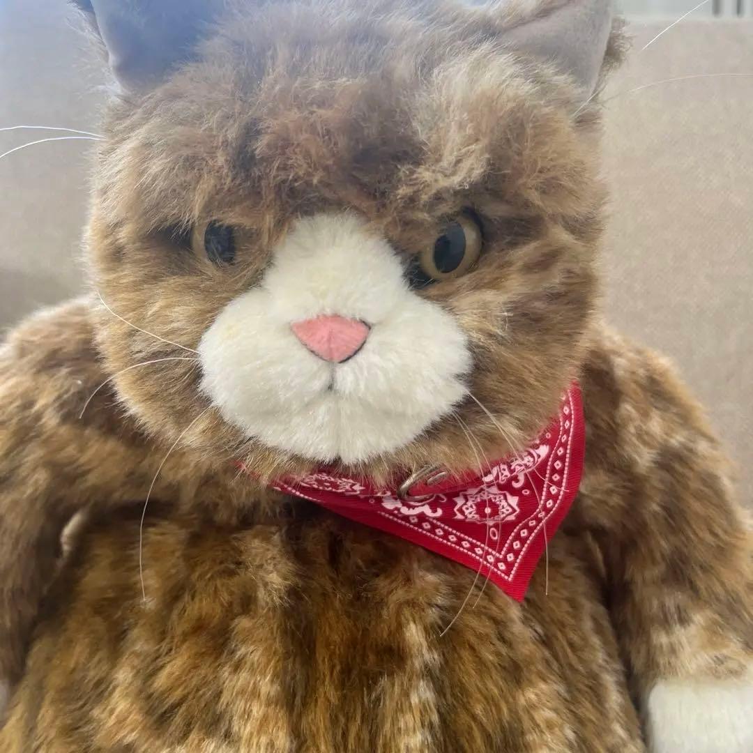 カドリー猫　ムッシュ cuddly cat