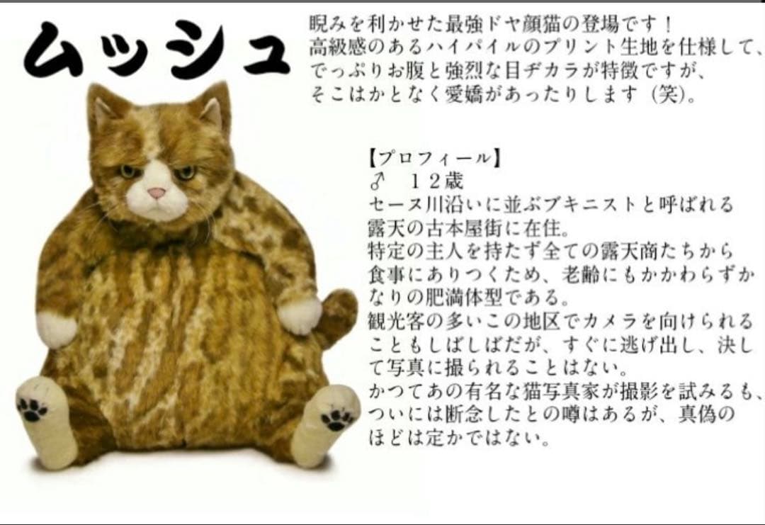 カドリー猫　ムッシュ cuddly cat