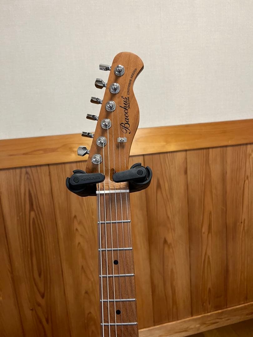 ギター Bacchus BTE-1-RSM SFG