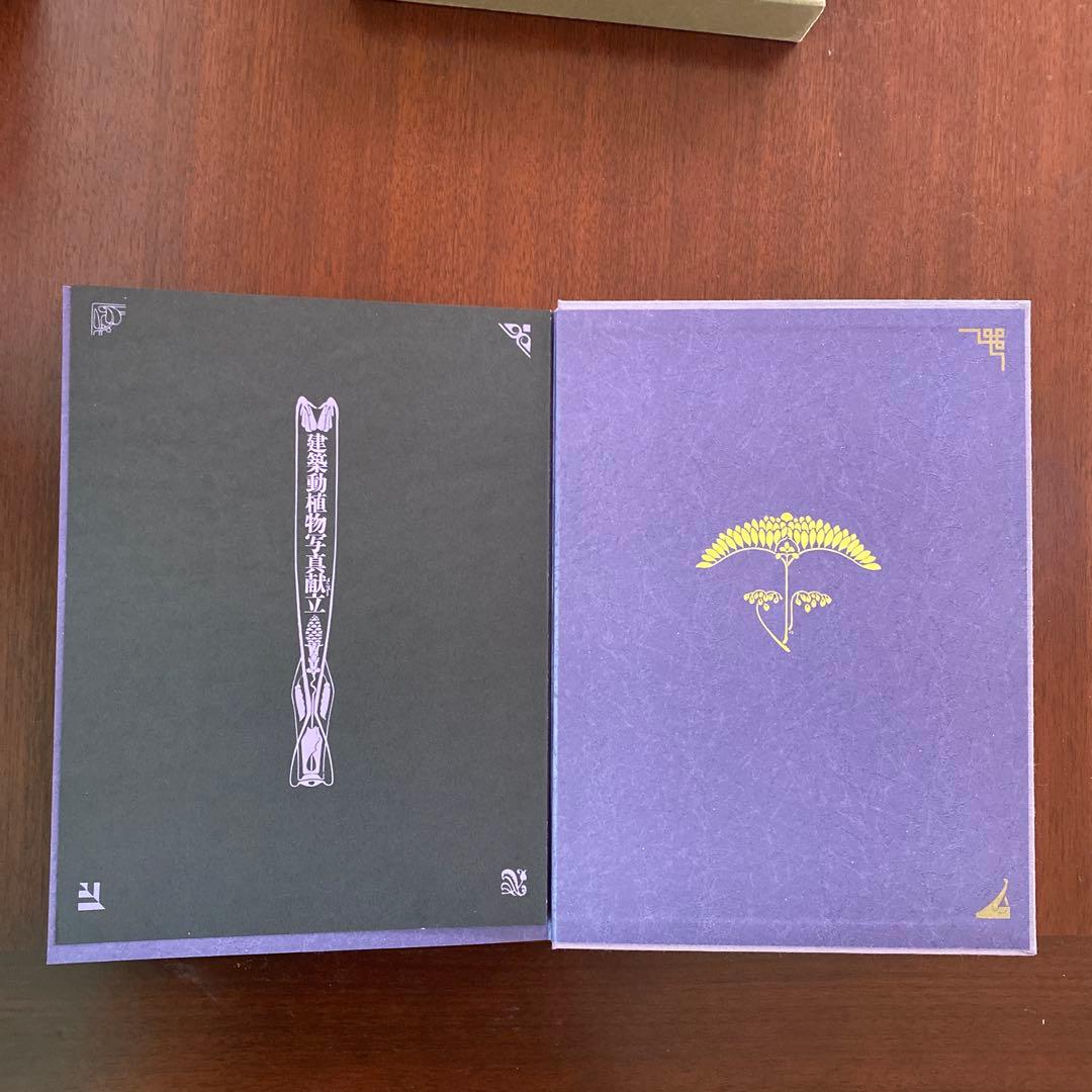 建築紅花青鳥圖　三省堂　貴重豪華本　美品