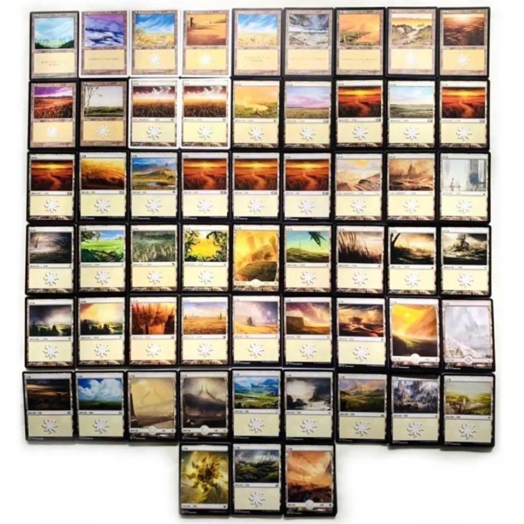 MTG 日本語 基本地形 基本土地 全コンプリート 4ED〜LCI コレクション