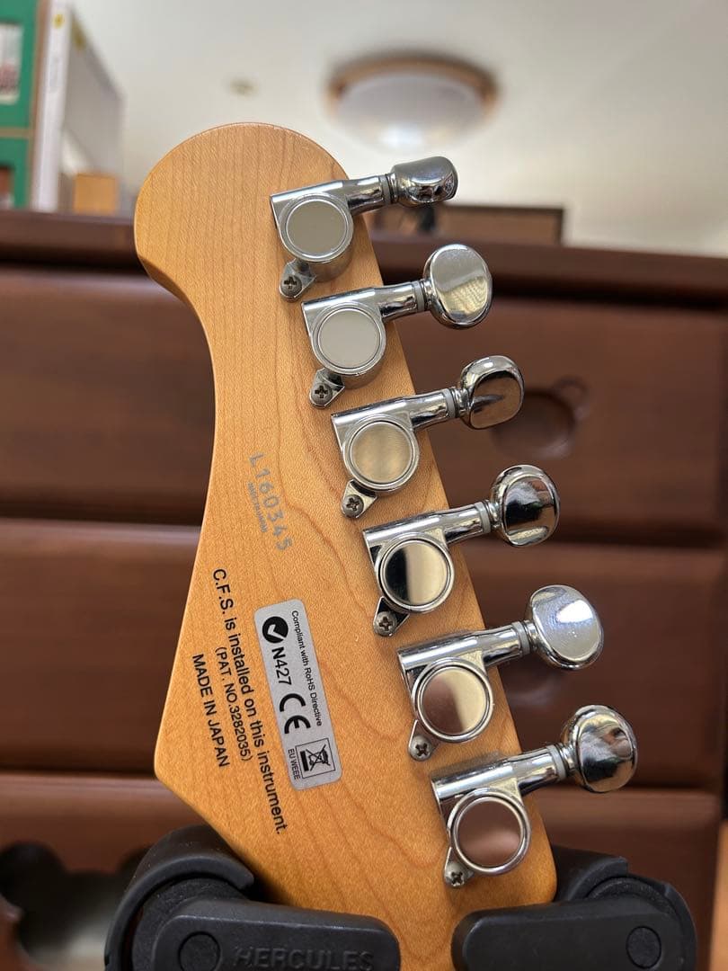 Fujigen フジゲン ストラトキャスター　エレキギター