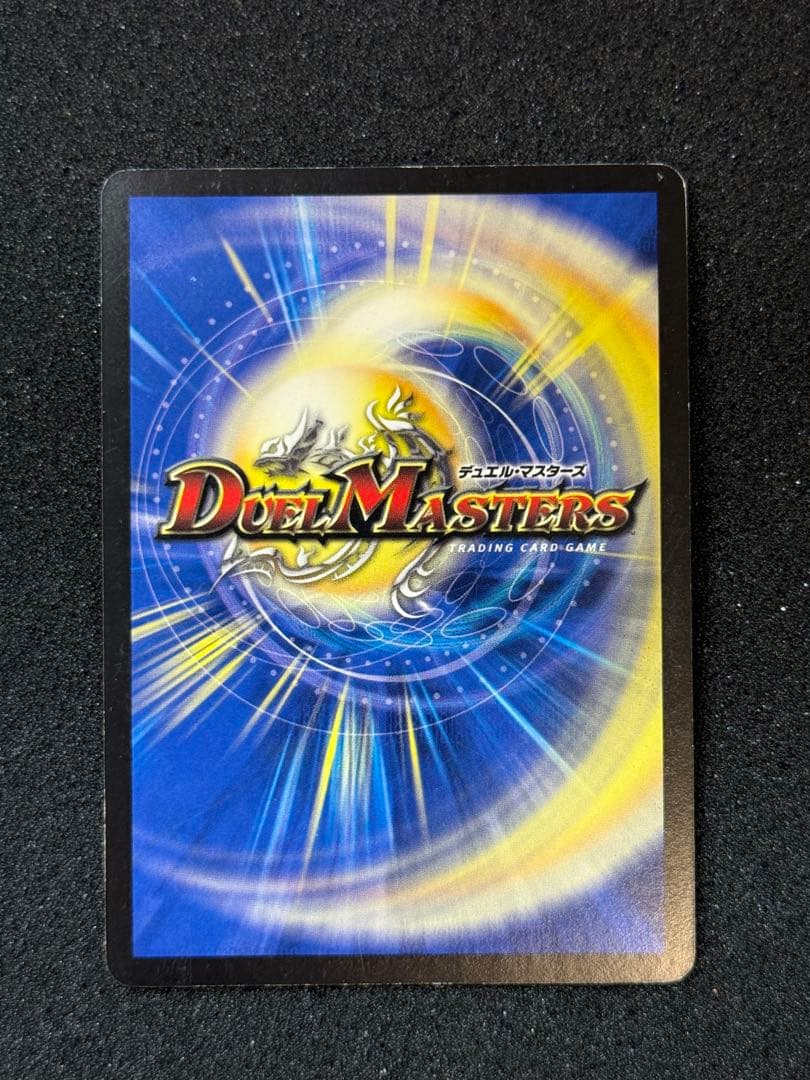 聖鎧亜キング・アルカディアス シークレット シク