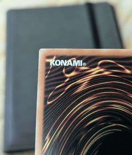 遊戯王、繁体字、中国版、偽骸神龍、ハートアースドラゴン、シク、シークレットレア