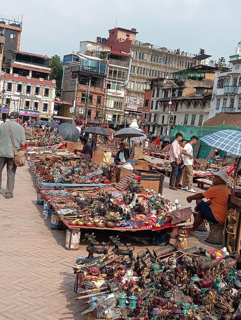 #655 アンモナイト