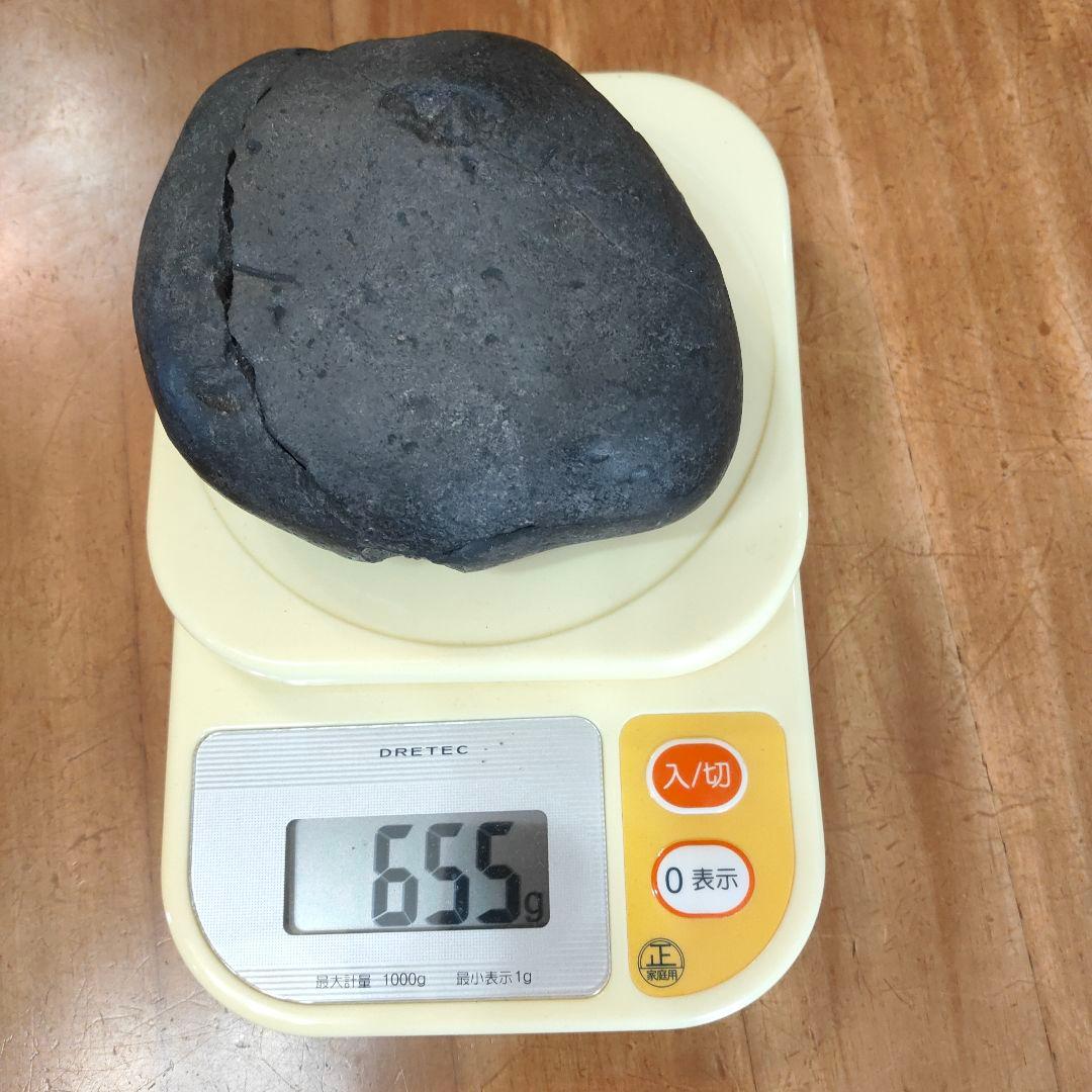 #655 アンモナイト