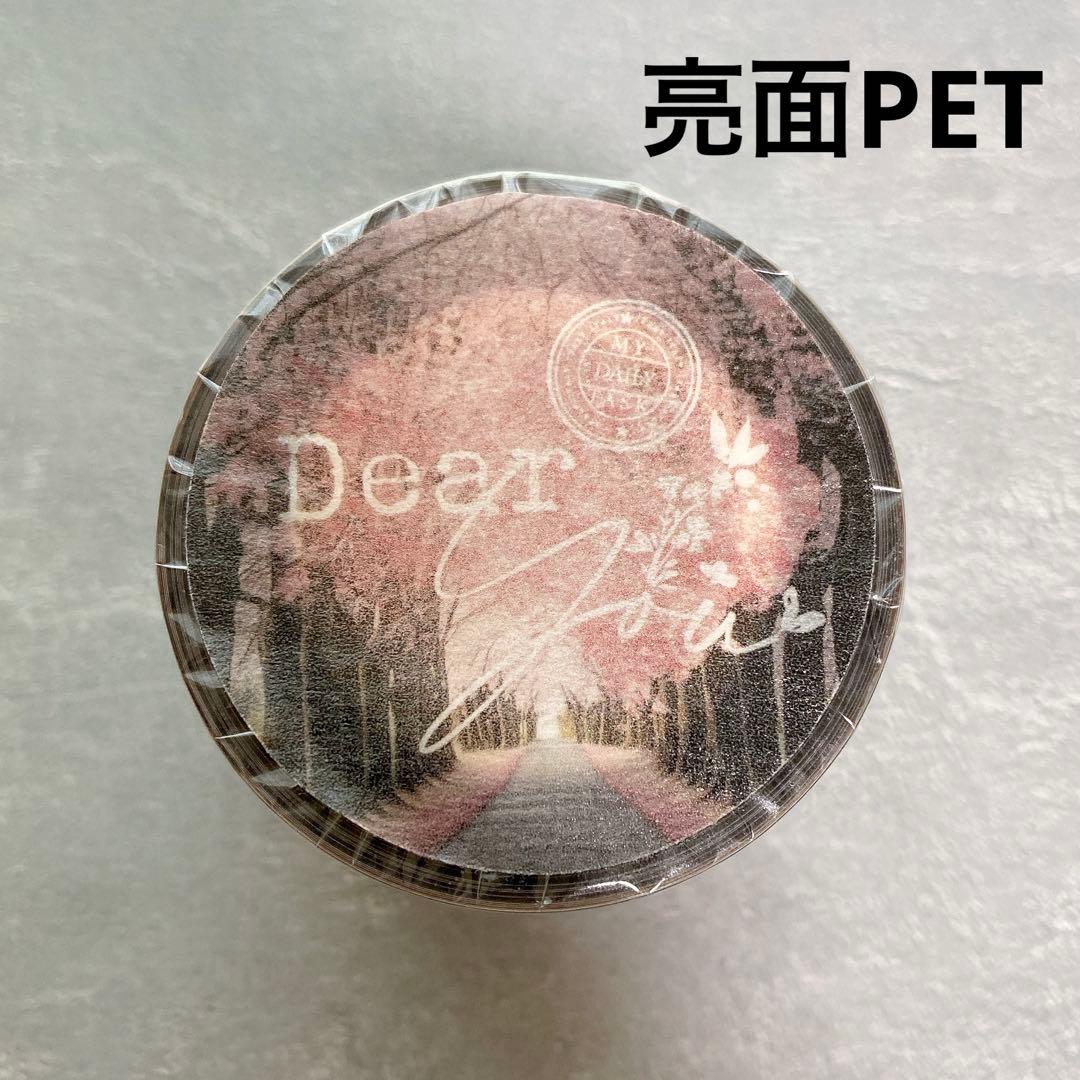 Journal pages 海外マスキングテープ　マステ 【1869】