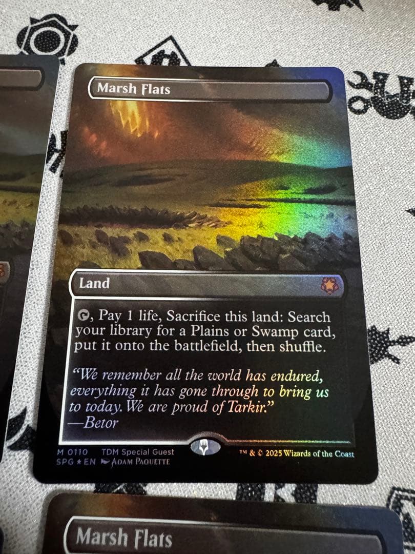 4枚セット 湿地の干潟 foil 英語