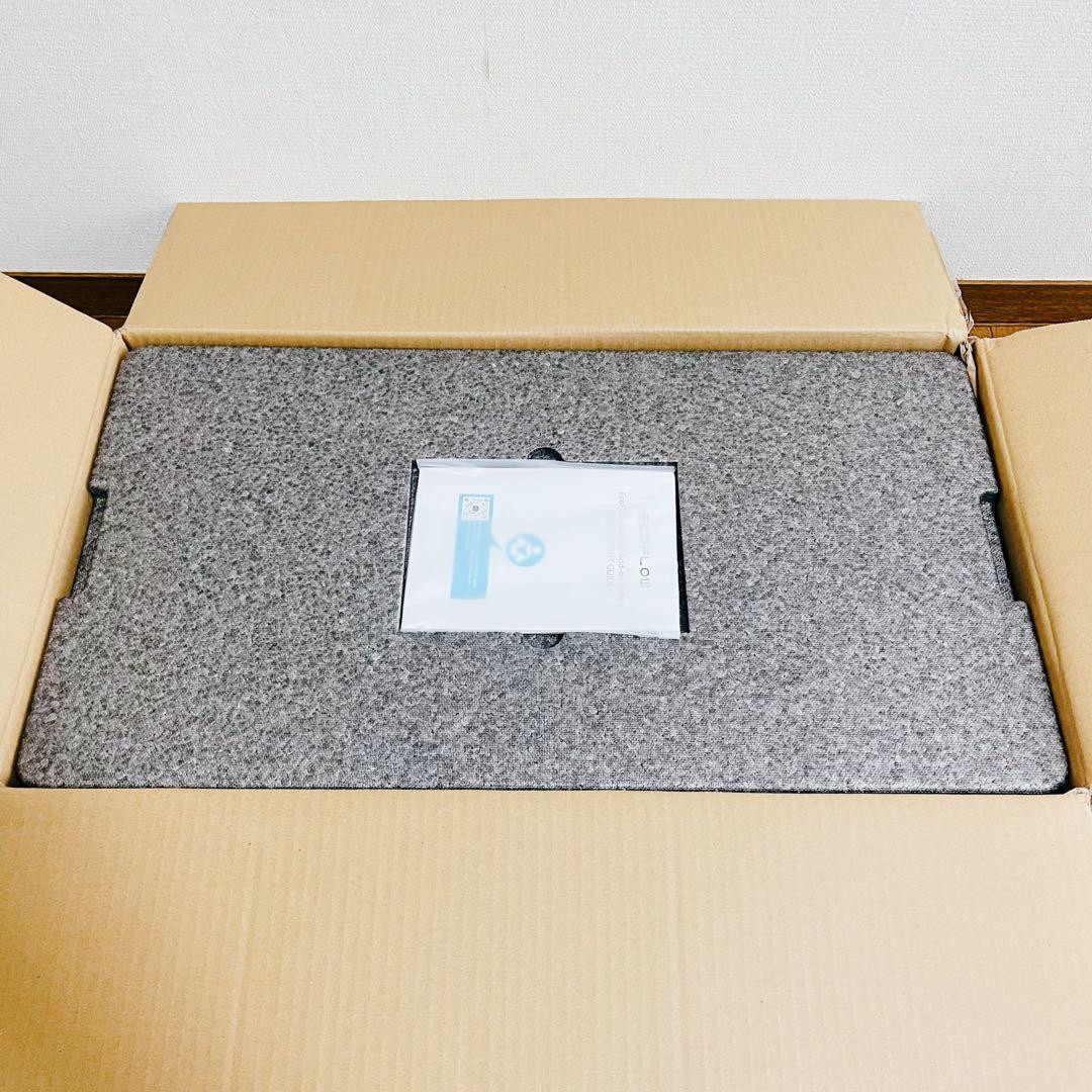 ECOFLOW Wave2 専用バッテリー エコフロー