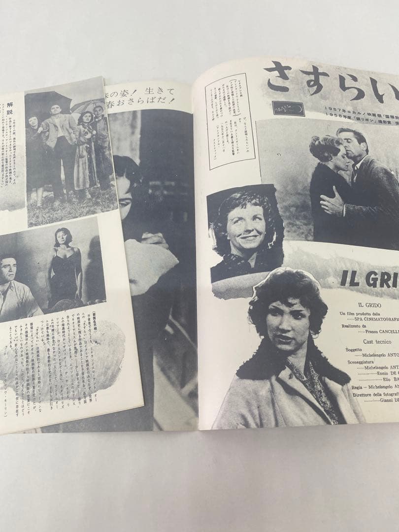 ★青春群像★さすらい★映画パンフレット★日活名画座★64年保存★フェデリコ当時物