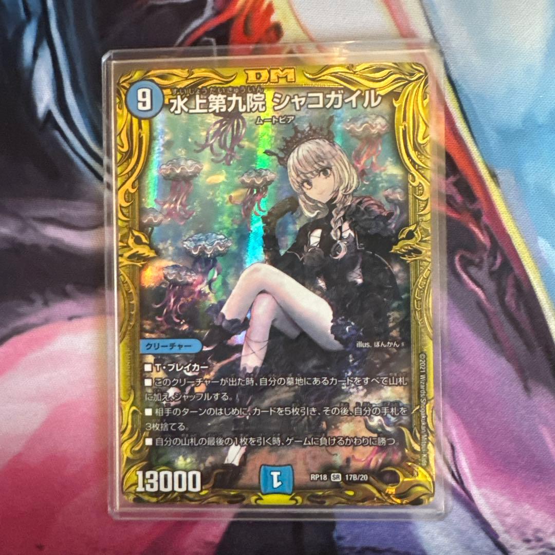 水上第九院シャコガイル 17B/20 1枚