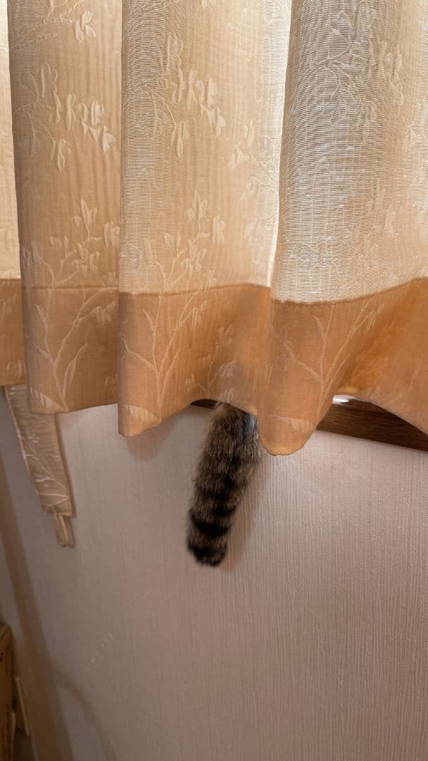 なんにも様用ページ