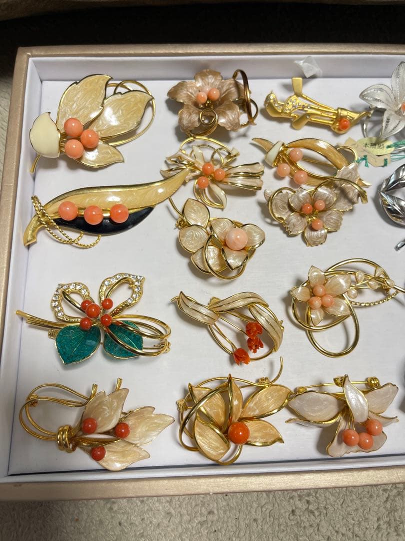 珊瑚プローチまとめ（19）