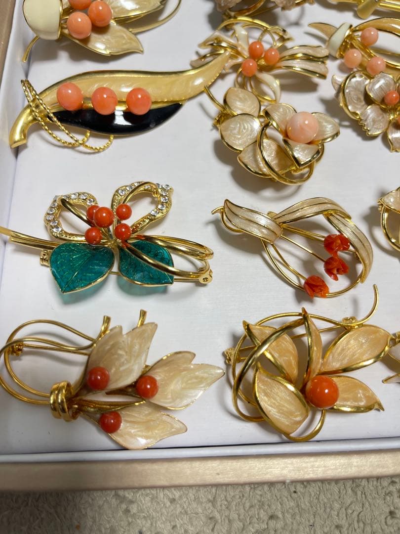 珊瑚プローチまとめ（19）