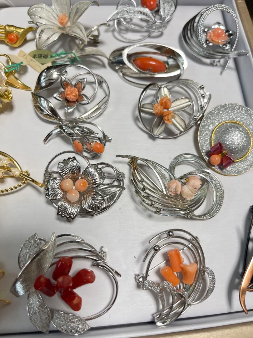 珊瑚プローチまとめ（19）