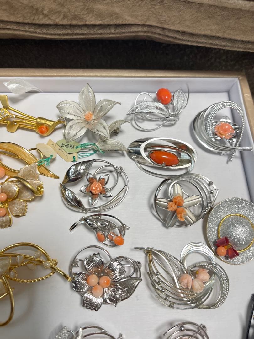 珊瑚プローチまとめ（19）