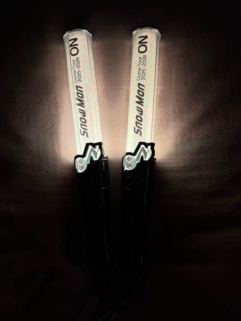 Man ペンライト 2本セット on