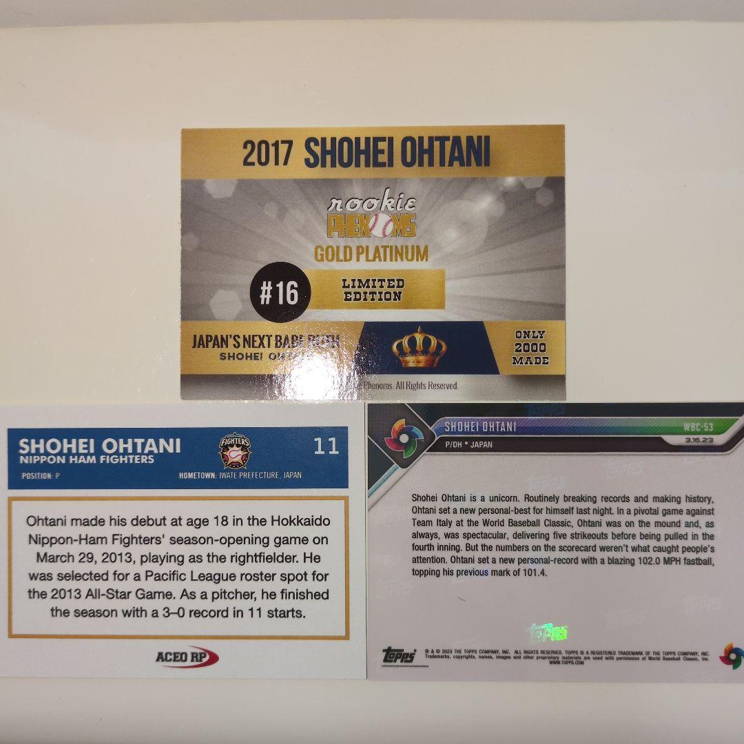 大谷翔平侍JAPAN