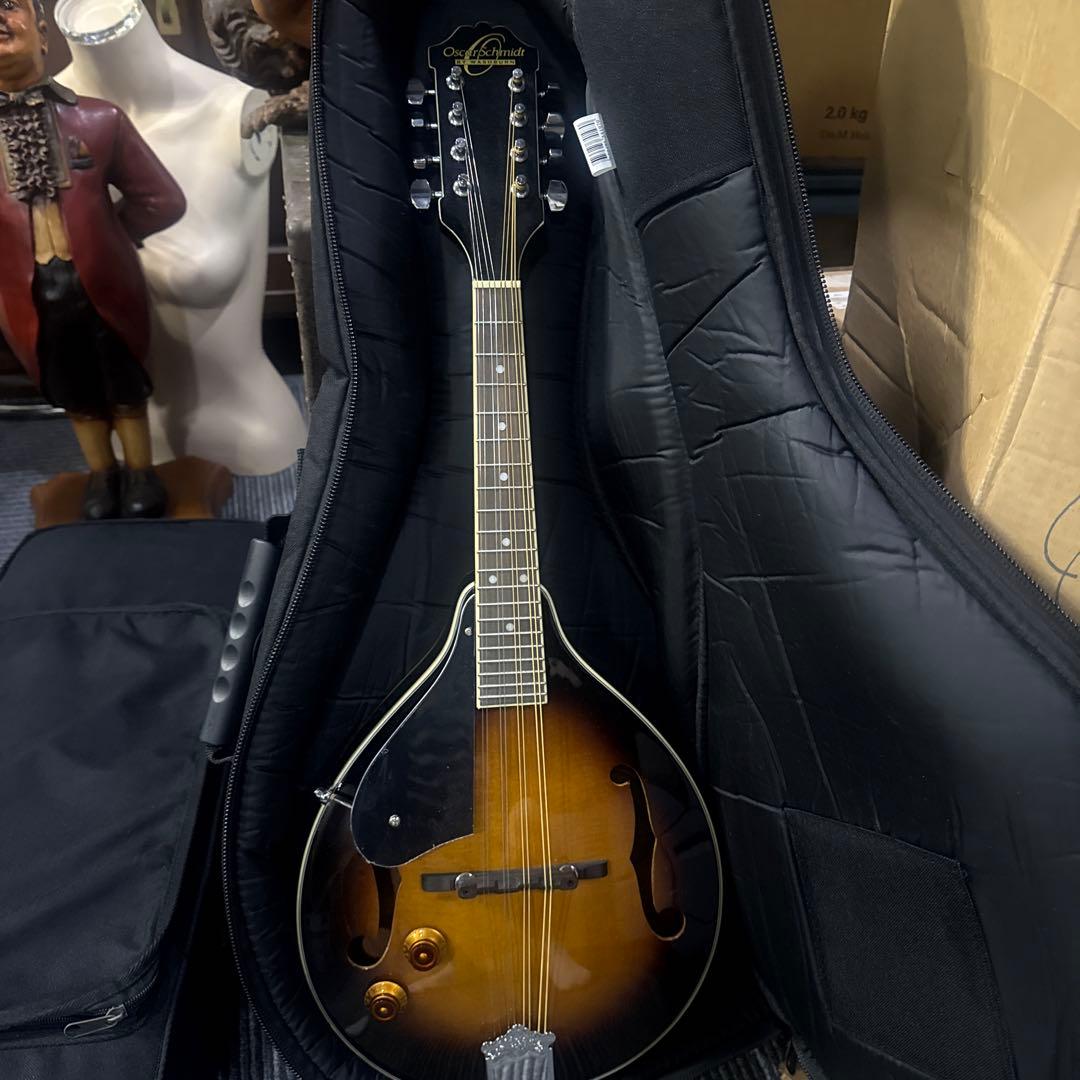 フラットマンドリン/Mandolin Lovers Club