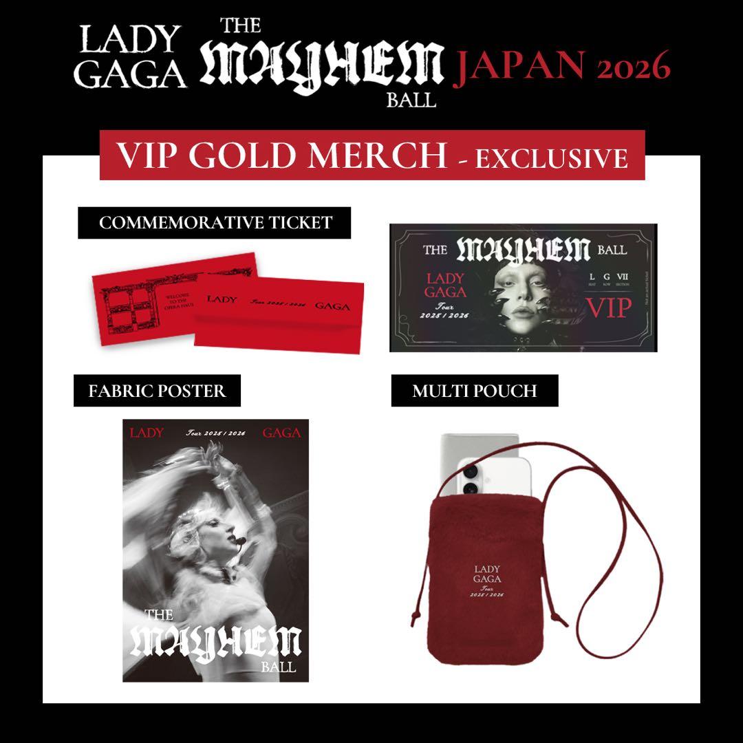 Lady Gaga VIP GOLD 特定グッズ + おまけ付き