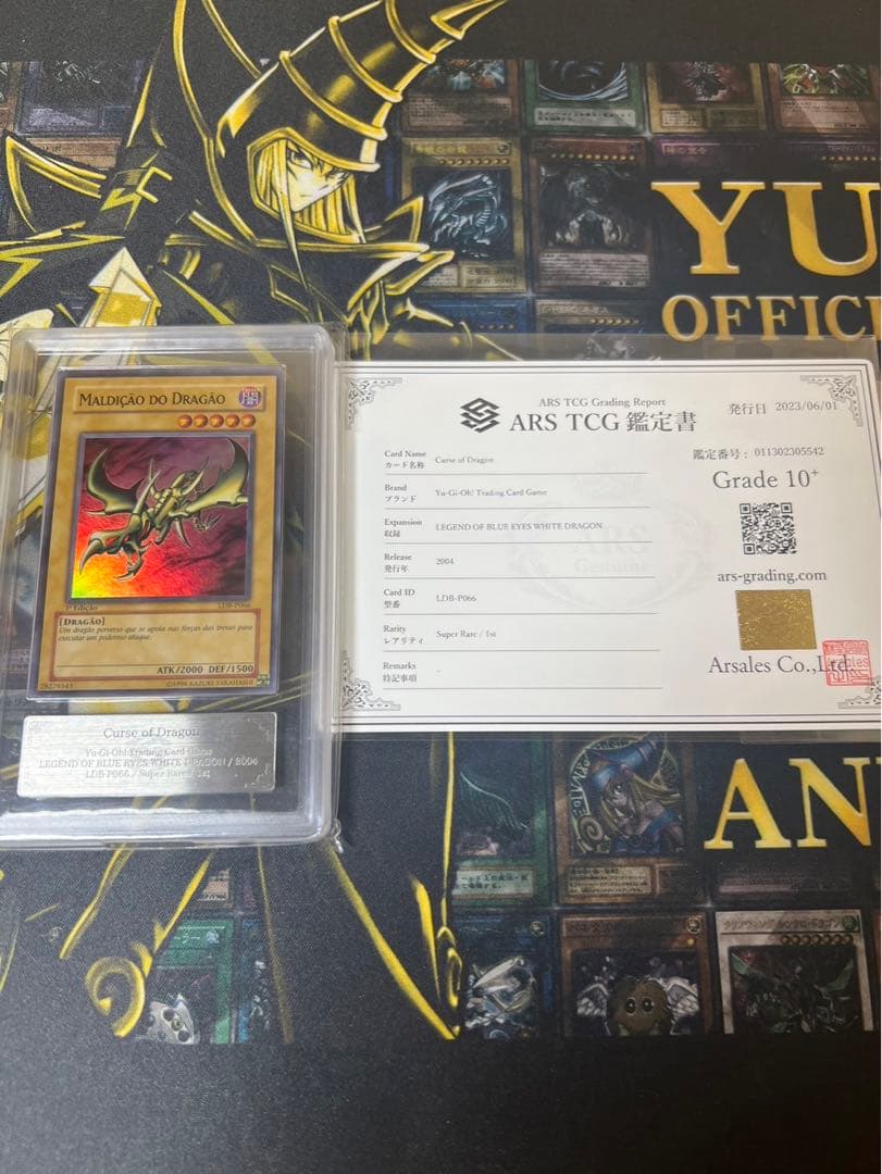 【世界に1枚】遊戯王　カース・オブ・ドラゴン　ポルトガル語版　ars10+