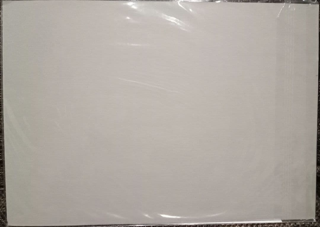 激レア品　ハンターハンターOVA全巻購入特典　セル画　ゴン