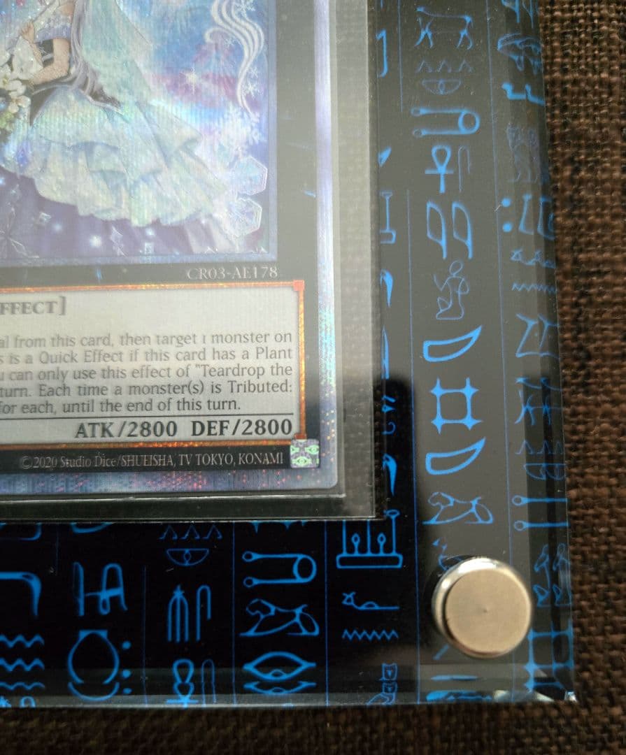 遊戯王 泰亜版 英語アジア 六花聖ティアドロップ 25th クオシク