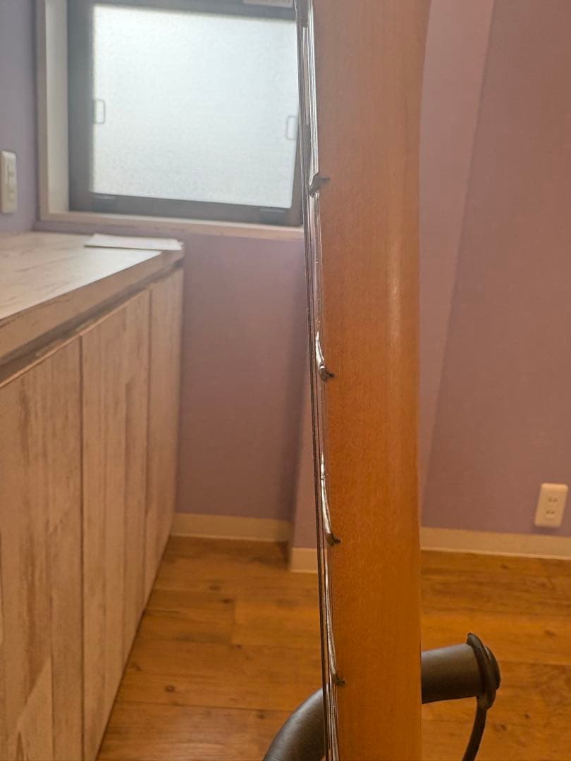 ギター Fender Mexico Player Telecaster