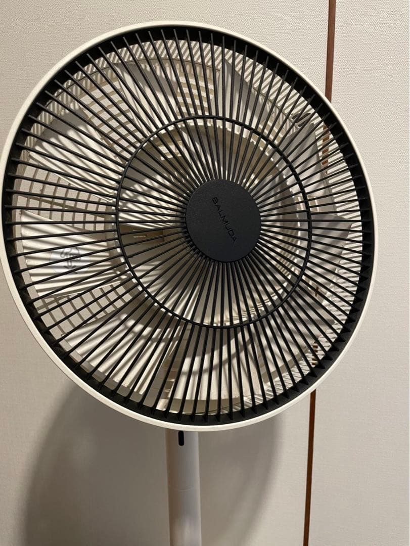 The Green Fan EGF-1600-WK BALMUDA