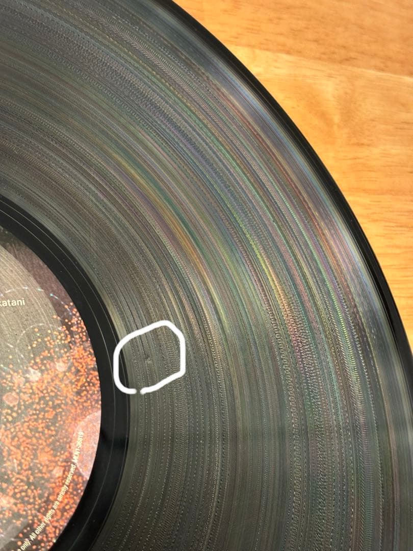 坂本龍一 plankton アナログ盤