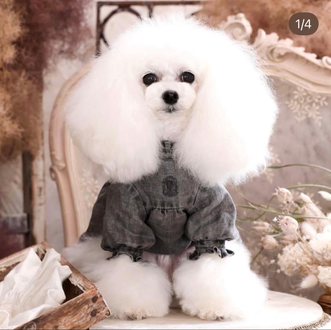 PPクローゼット チュニック　31サイズ