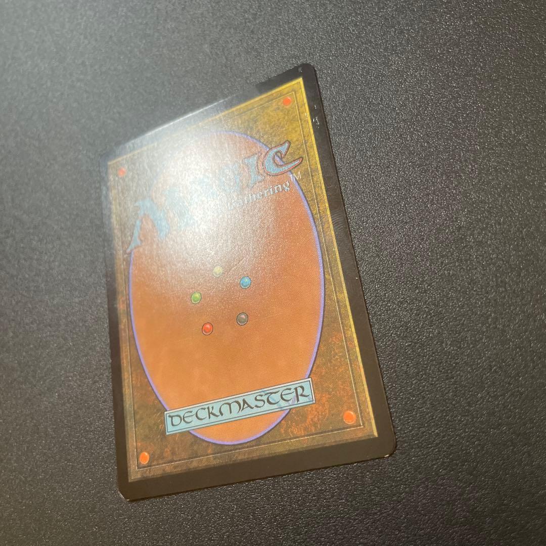 MTG foil 英語版 行き届いた書庫 ボーダーレス版