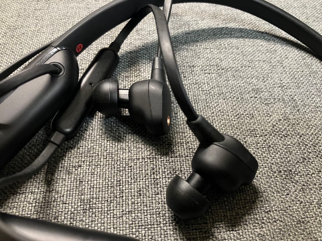 SONY WI-1000XM2 ソニー ワイヤレスイヤホン