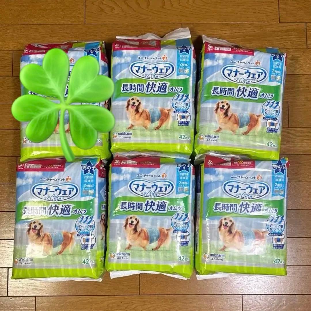 犬 マナーパンツ Sサイズ 42枚入り 6パックセット