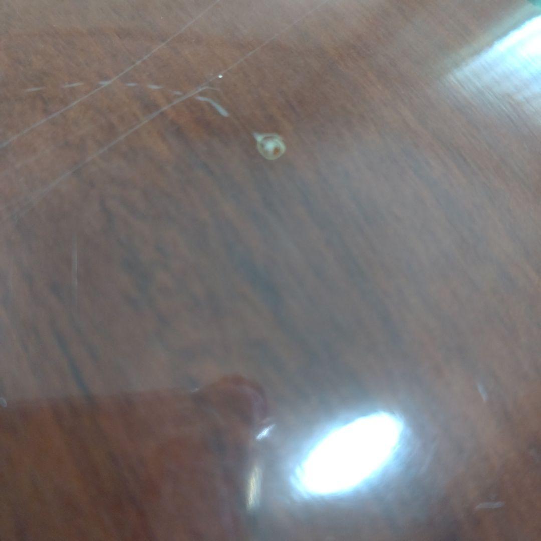 12弦ギター　FG-411-12 YAMAHA