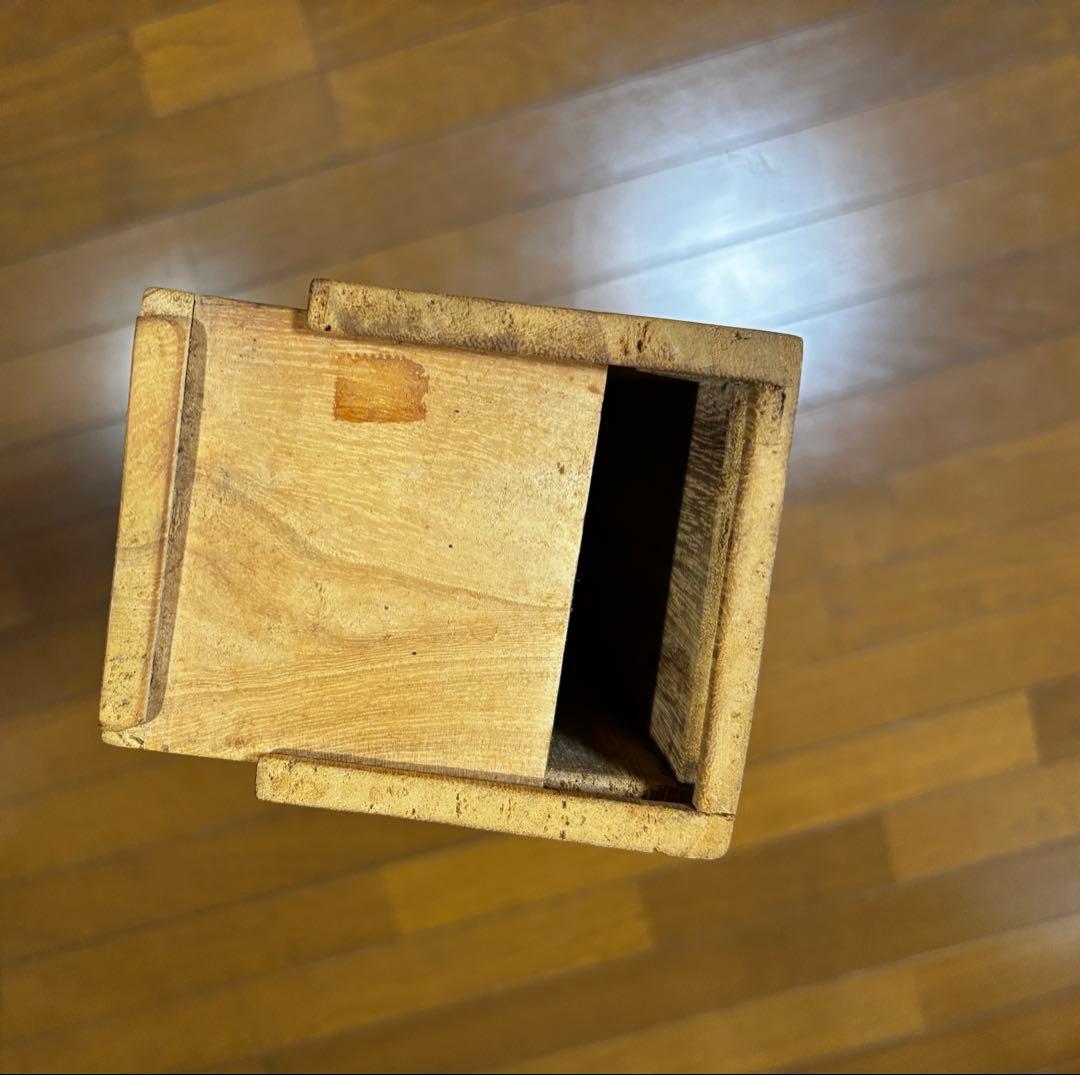 水墨画　掛け軸　悟桐双兎 謝陽画　兎　中国　張大千大風堂　カラー　箱付