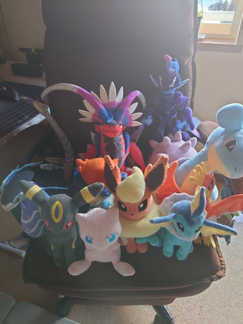 ポケモン ぬいぐるみセット