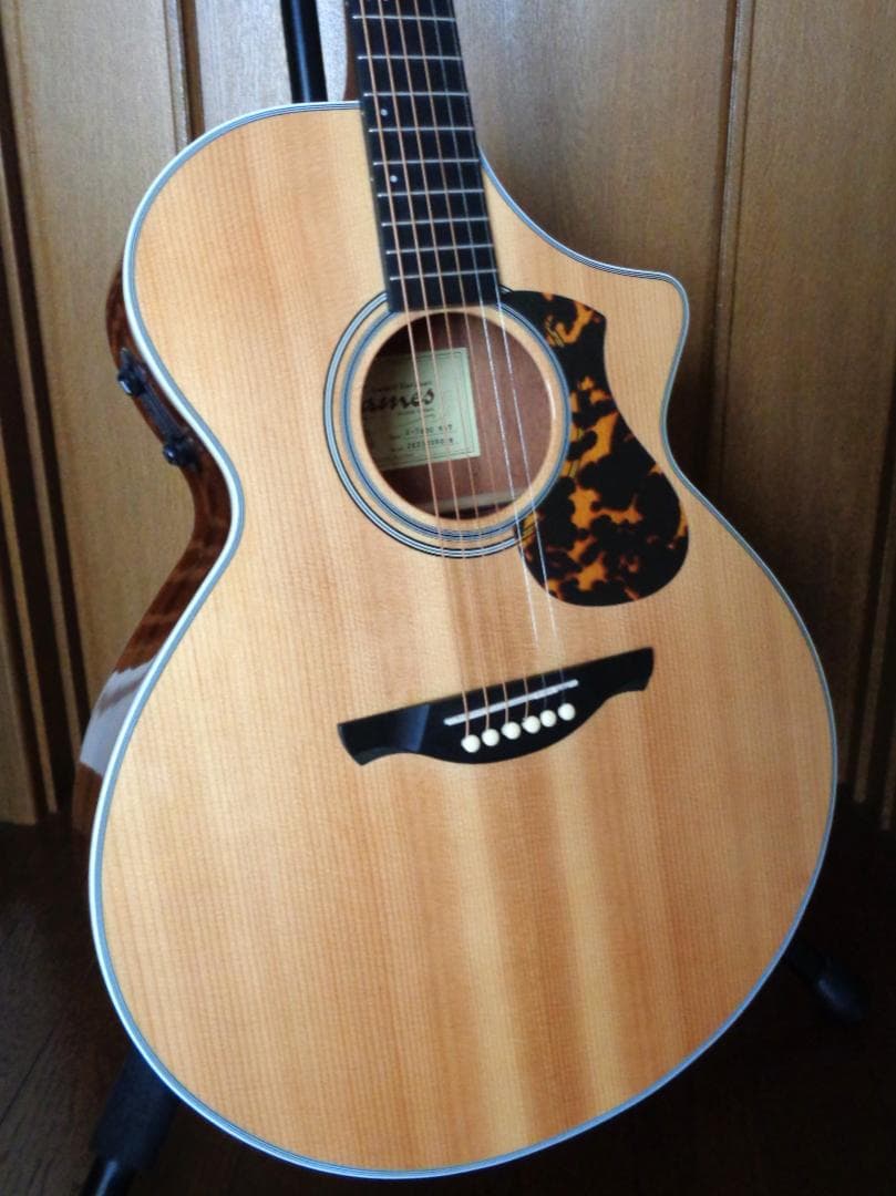 James J-700/C エフェクト搭載 エレアコ　超美品！　低弦高