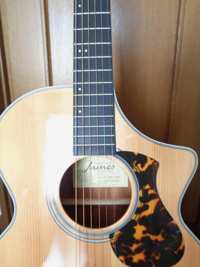 James J-700/C エフェクト搭載 エレアコ　超美品！　低弦高